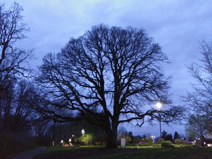 North Clackamas Aquatic Park