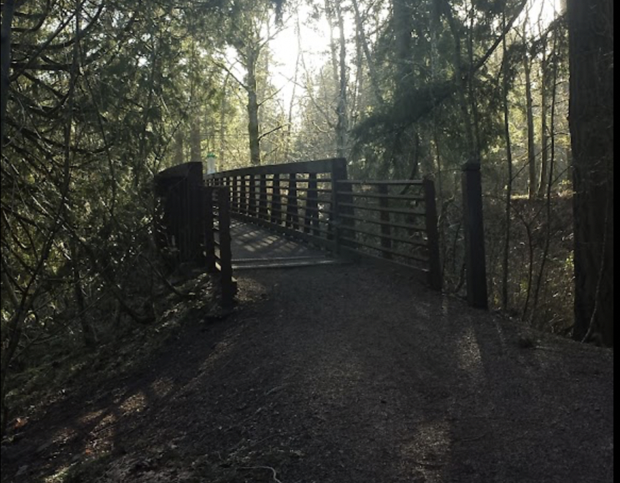 Springwater Corridor Trail