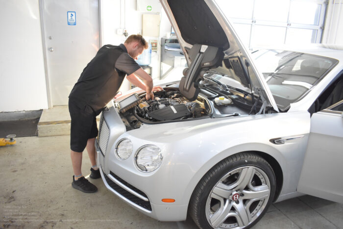 German Auto Repair Near Me